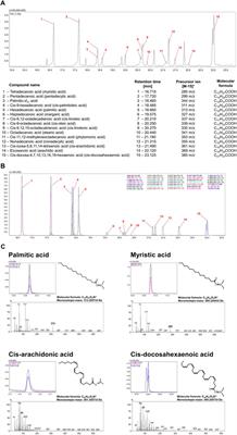 Subinhibitory concentrations of antibiotics affect development and parameters of Helicobacter pylori biofilm